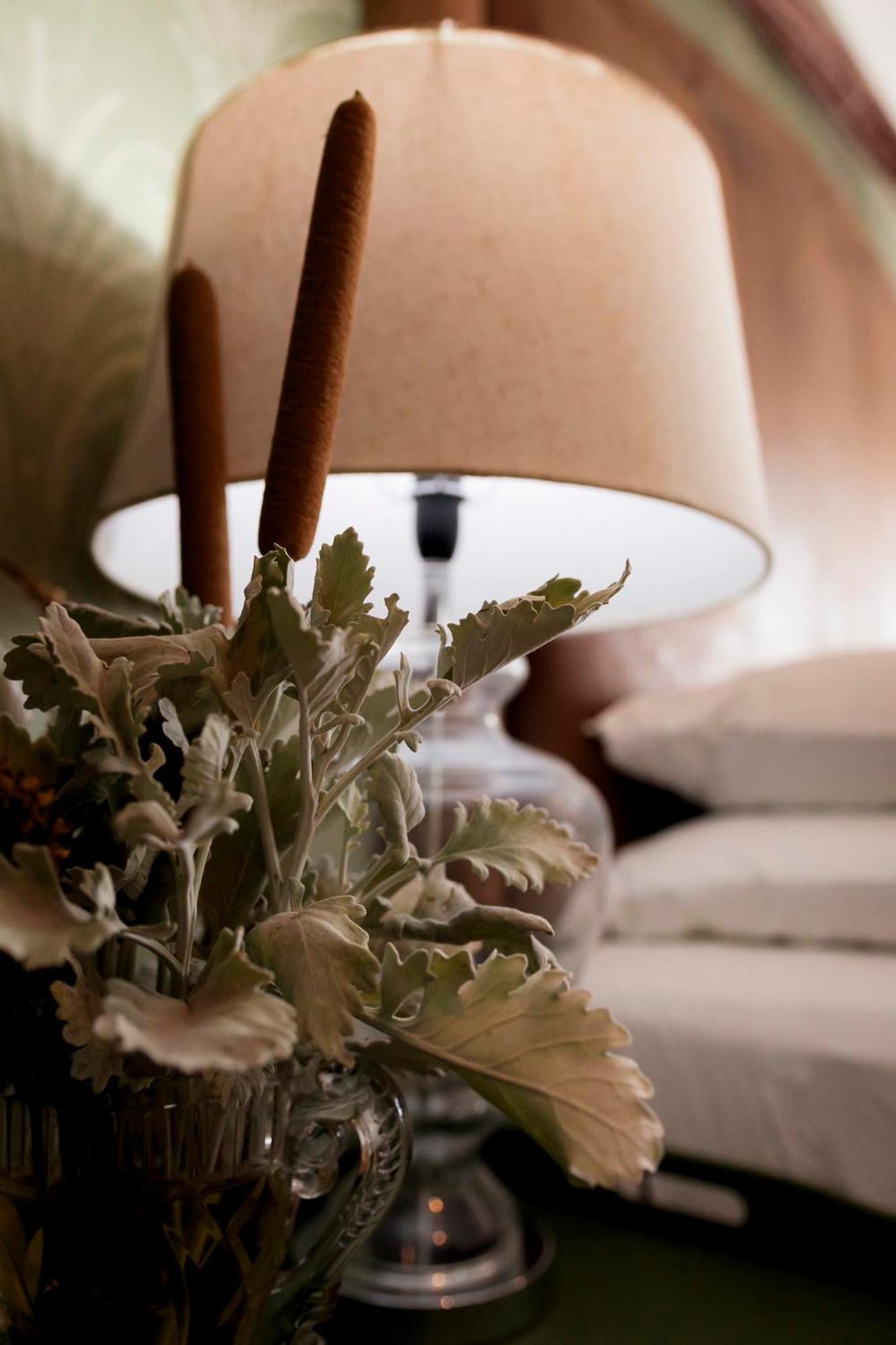 Sweetfontein Boutique Farm Lodge Britstown المظهر الخارجي الصورة
