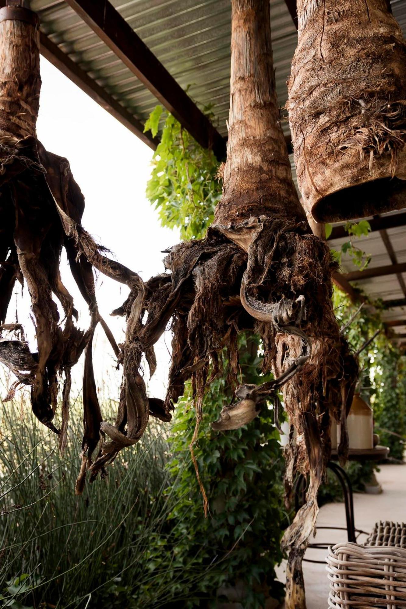 Sweetfontein Boutique Farm Lodge Britstown المظهر الخارجي الصورة